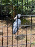 千葉市動物公園に投稿された画像（2024/7/27）