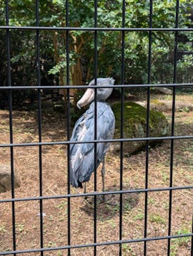 千葉市動物公園に投稿された画像（2024/7/27）