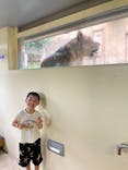 東武動物公園に投稿された画像（2024/7/27）