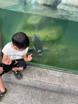 東武動物公園に投稿された画像（2024/7/27）