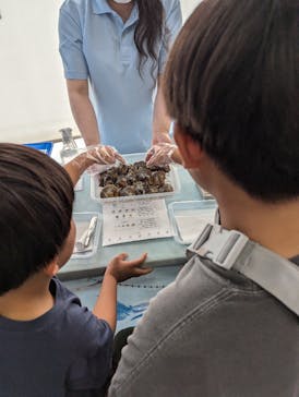 アクアワールド茨城県大洗水族館に投稿された画像（2024/7/27）