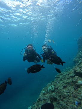 武藤潜水に投稿された画像（2024/7/27）