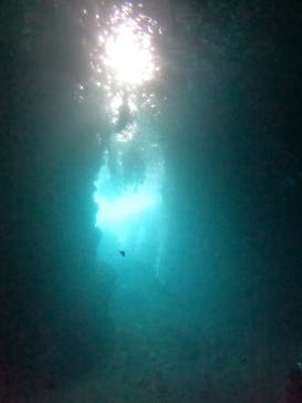 沖縄マリンサービス碧に投稿された画像（2024/7/27）