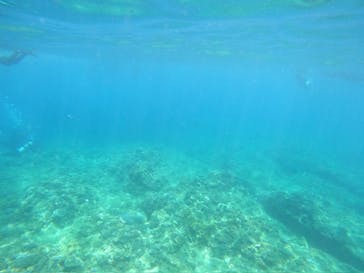 沖縄マリンサービス碧に投稿された画像（2024/7/27）