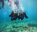 沖縄マリンサービス碧に投稿された画像（2024/7/27）