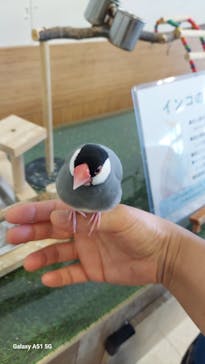 Moff animal world BIGHOPガーデンモール印西店に投稿された画像（2024/7/27）