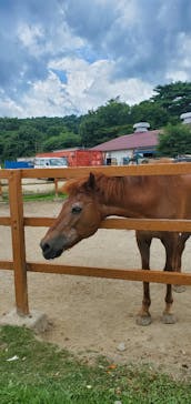 那須どうぶつ王国に投稿された画像（2024/7/27）