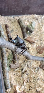 那須どうぶつ王国に投稿された画像（2024/7/27）