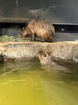 マクセル アクアパーク品川に投稿された画像（2024/7/27）