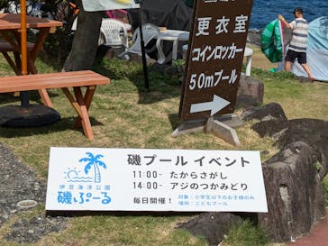 伊豆海洋公園磯プールに投稿された画像（2024/7/27）