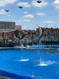 名古屋港水族館に投稿された画像（2024/7/27）