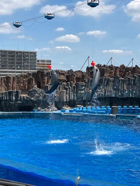 名古屋港水族館に投稿された画像（2024/7/27）