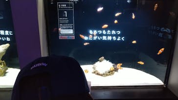 横浜開運水族館 フォーチュンアクアリウムに投稿された画像（2024/7/27）