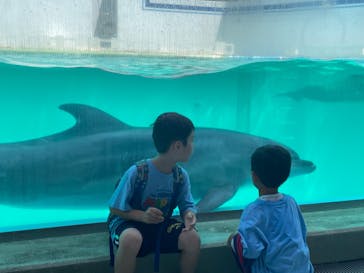 しながわ水族館に投稿された画像（2024/7/27）