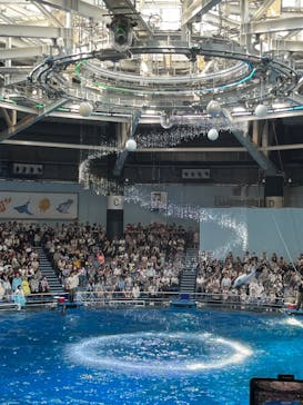 マクセル アクアパーク品川に投稿された画像（2024/7/27）