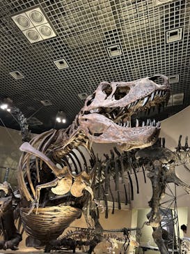 国立科学博物館に投稿された画像（2024/7/27）