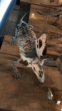 福井県立恐竜博物館に投稿された画像（2024/7/27）