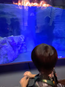 すみだ水族館に投稿された画像（2024/7/27）