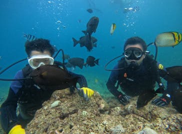 武藤潜水に投稿された画像（2024/7/27）