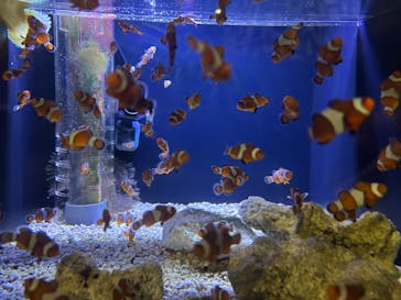 マクセル アクアパーク品川に投稿された画像（2024/7/27）