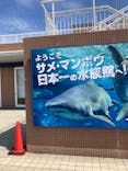 アクアワールド茨城県大洗水族館に投稿された画像（2024/7/27）
