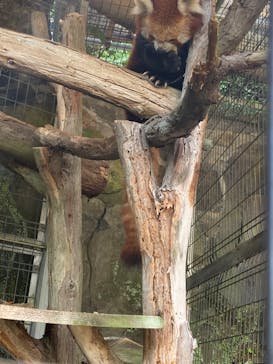 熱川バナナワニ園に投稿された画像（2024/7/27）