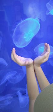 葛西臨海水族園に投稿された画像（2024/7/27）