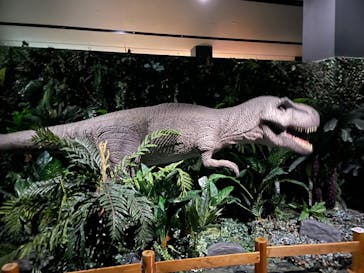 タッチ ザ ダイナソー ～恐竜アドベンチャー展～に投稿された画像（2024/7/27）