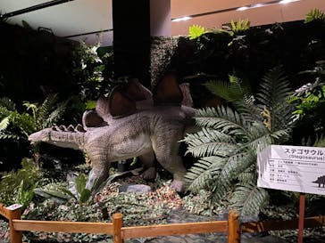 タッチ ザ ダイナソー ～恐竜アドベンチャー展～に投稿された画像（2024/7/27）