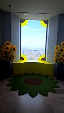 サンシャイン60展望台に投稿された画像（2024/7/27）