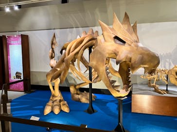 岐阜県博物館に投稿された画像（2024/7/27）