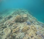 南ぬ島DIVESITEに投稿された画像（2024/7/27）