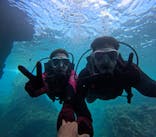 沖縄マリンサービス碧に投稿された画像（2024/7/27）