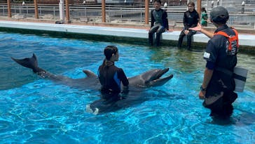 横浜・八景島シーパラダイスに投稿された画像（2024/7/27）