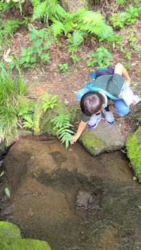 彫刻の森美術館に投稿された画像（2024/7/27）