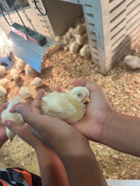 アニタッチみなとみらいに投稿された画像（2024/7/27）