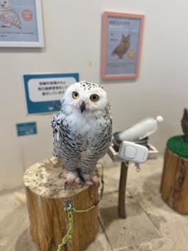 アニタッチみなとみらいに投稿された画像（2024/7/27）