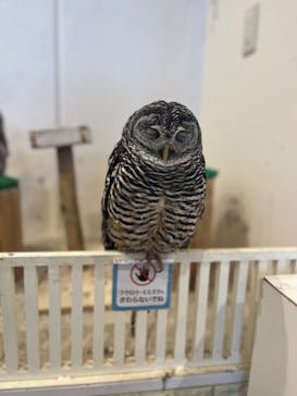 アニタッチみなとみらいに投稿された画像（2024/7/27）