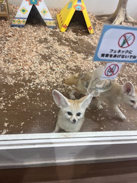 アニタッチみなとみらいに投稿された画像（2024/7/27）