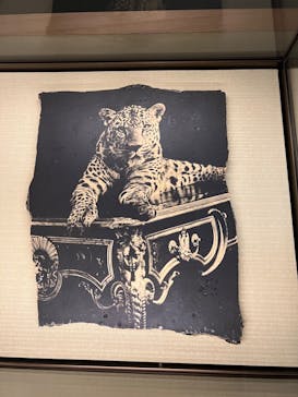 カルティエと日本　半世紀のあゆみ　「結 MUSUBI」展 ― 美と芸術をめぐる対話（東京国立博物館　表慶館））に投稿された画像（2024/7/27）