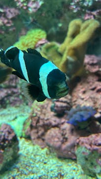 サンシャイン水族館に投稿された画像（2024/7/27）