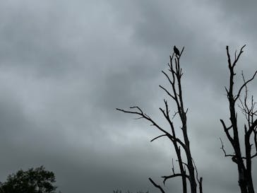 リバーガイドカンパニー Nanookに投稿された画像（2024/7/27）