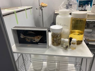 世界淡水魚園水族館　アクア・トトぎふに投稿された画像（2024/7/27）