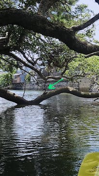 GI Paddlersに投稿された画像（2024/7/27）