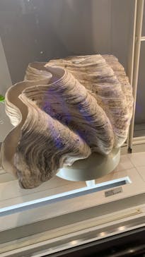 国立科学博物館に投稿された画像（2024/7/27）