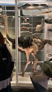 国立科学博物館に投稿された画像（2024/7/27）