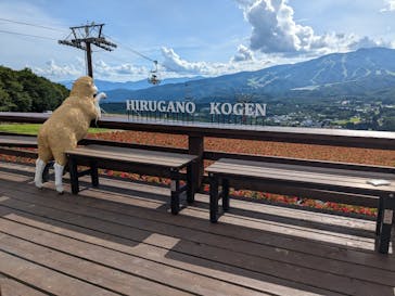 ひるがのピクニックガーデンに投稿された画像（2024/7/27）