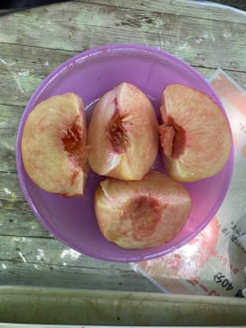 グレープガーデン　安全農園に投稿された画像（2024/7/27）