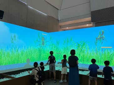 絶体絶命！？キミたちのサバイバル in ときメッセに投稿された画像（2024/7/27）