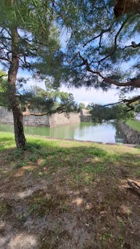 元離宮二条城に投稿された画像（2024/7/27）